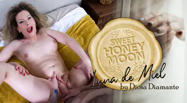 Trans Luna De Miel