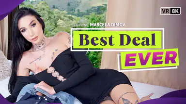 Trans – bestes Angebot aller Zeiten