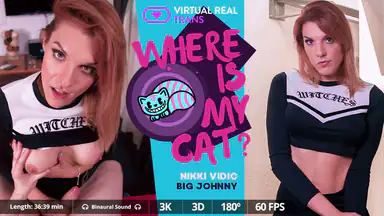 Where Is My Cat Nikki Vidic