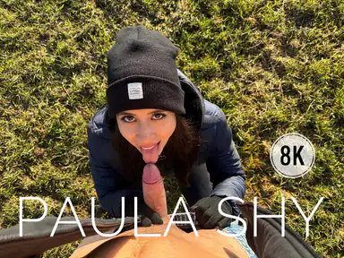 Blowjob auf einer Reise mit Paula