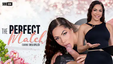 Trans Das perfekte Match